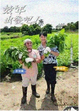 K-pop 星工场 综艺 2026